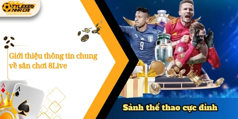Giới thiệu thông tin chung về sân chơi 8Live