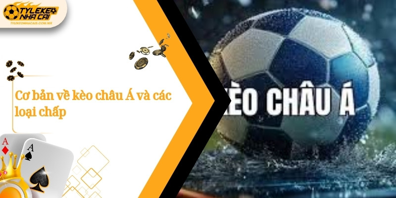 Cơ bản về kèo châu Á và các loại chấp