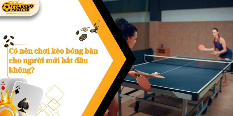 Có nên chơi kèo bóng bàn cho người mới bắt đầu không?