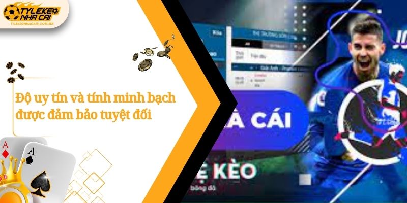 Độ uy tín và tính minh bạch được đảm bảo tuyệt đối