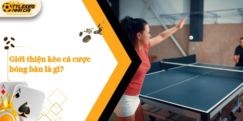 Giới thiệu kèo cá cược bóng bàn là gì?