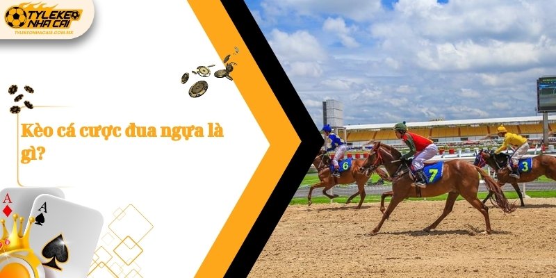 Kèo cá cược đua ngựa là gì?
