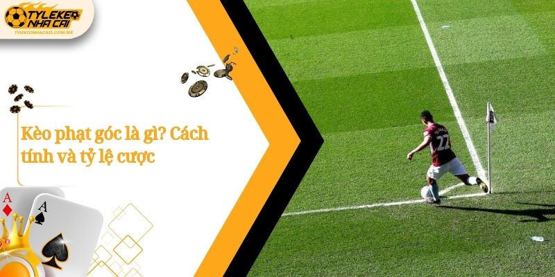 Kèo phạt góc là gì? Cách tính và tỷ lệ cược