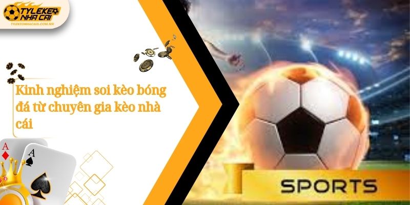 Kinh nghiệm soi kèo bóng đá từ chuyên gia kèo nhà cái