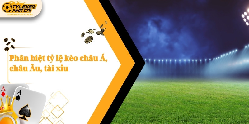 Phân biệt tỷ lệ kèo châu Á, châu Âu, tài xỉu