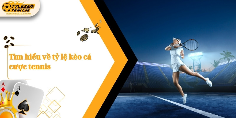 Tìm hiểu về tỷ lệ kèo cá cược tennis