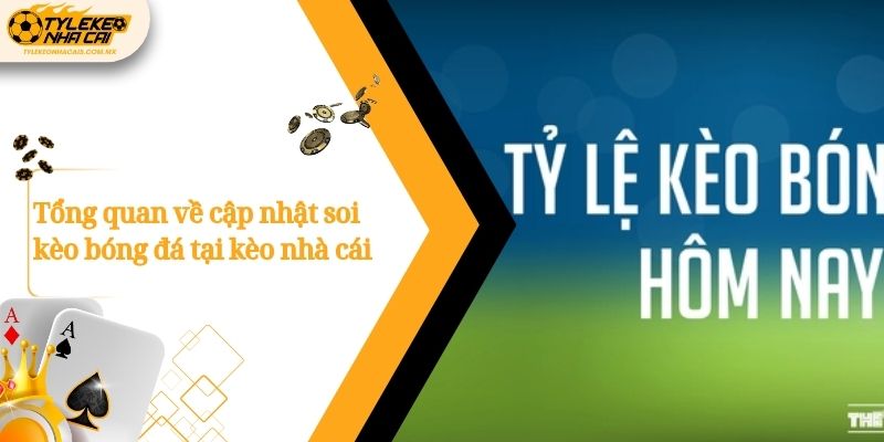 Tổng quan về cập nhật soi kèo bóng đá tại kèo nhà cái