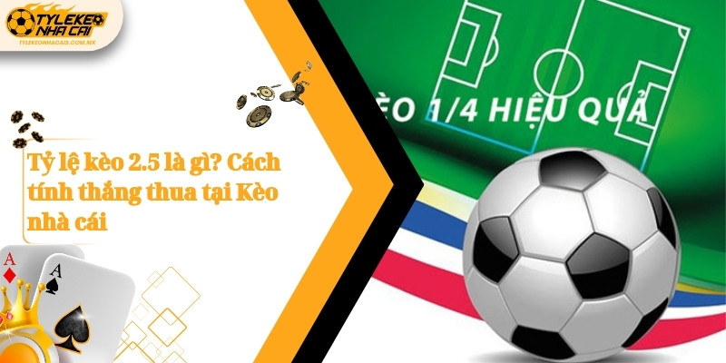 Tỷ lệ kèo 2.5 là gì? Cách tính thắng thua tại Kèo nhà cái